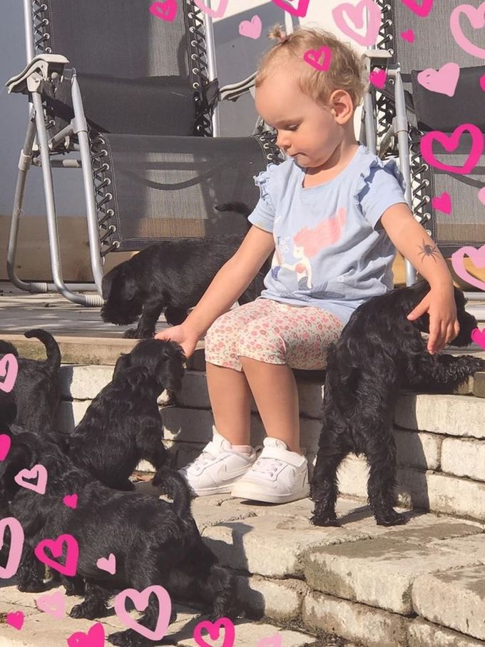 Isabella Svennefelt and puppies 2019 - simpley lovely!!